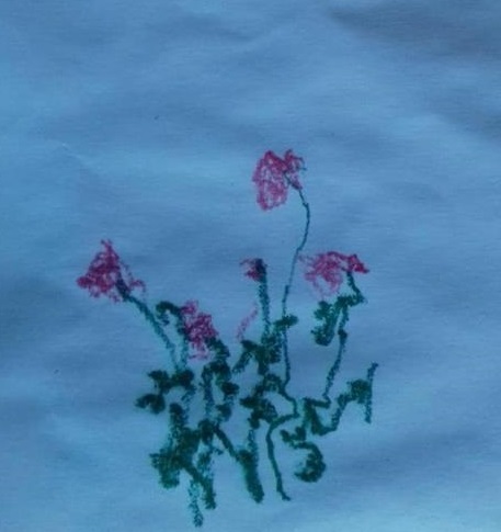 Стёпино лето Стёпино лето