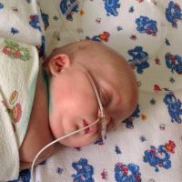 Рома Черепов