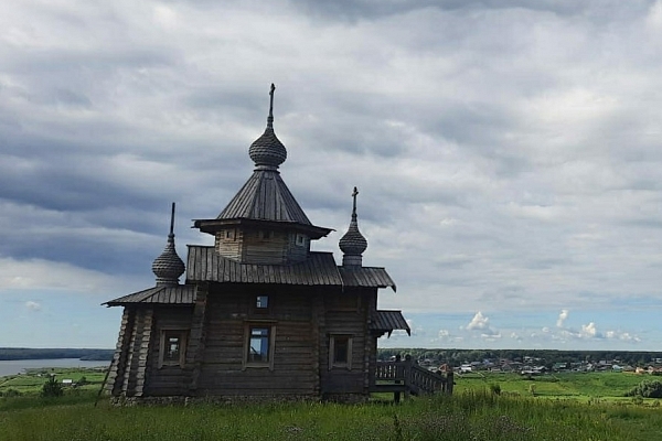 От медведя ушел, от мошек - не ушел