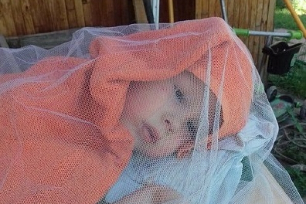 Стёпино лето 