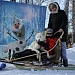 Катания на собачьих упряжках
