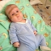 Шестеро маленьких бойцов ждут помощи 