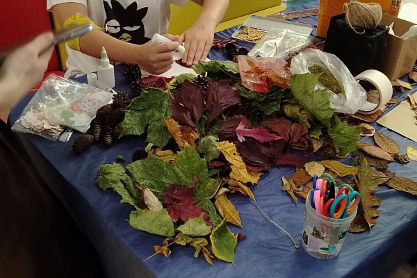 ЗАЧЕМ ВОЛОНТЕРЫ МОЮТ ОПАВШИЕ ЛИСТЬЯ?