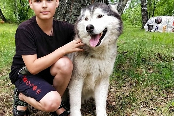 Обнимать и гладить