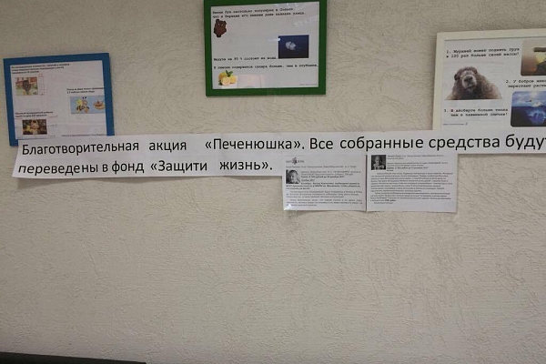 Помощь для Матвея! 