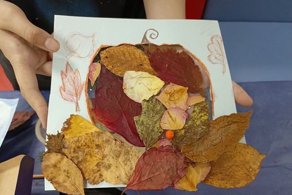 ЗАЧЕМ ВОЛОНТЕРЫ МОЮТ ОПАВШИЕ ЛИСТЬЯ?