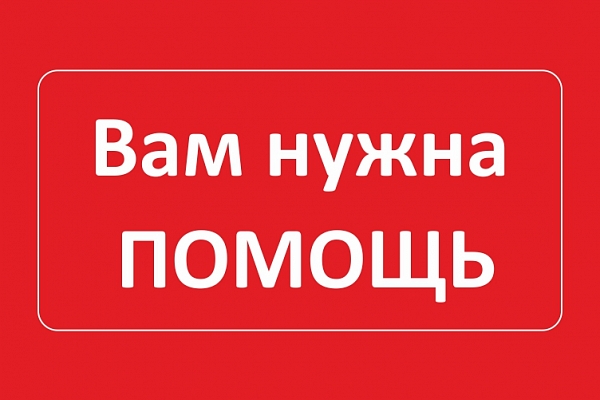 Помощь подопечным