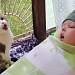 Медбратья наши меньшие