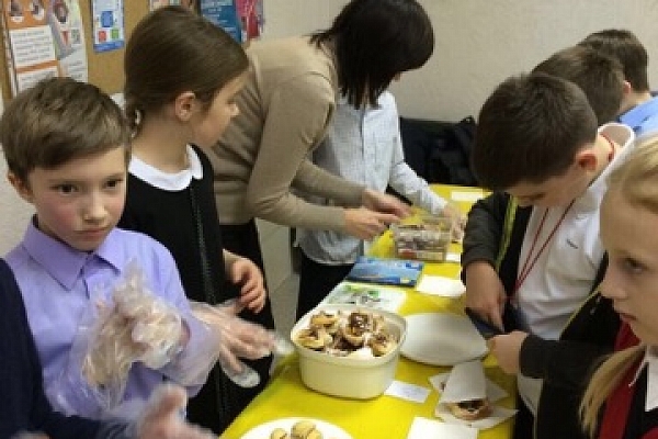 Помощь для Матвея! 