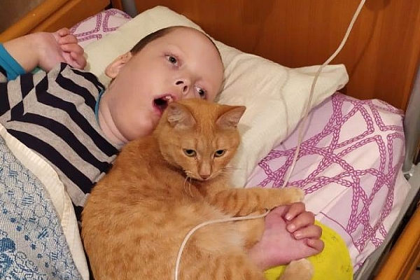 Медбратья наши меньшие