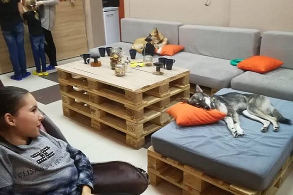 Василина в Пёсокафе 